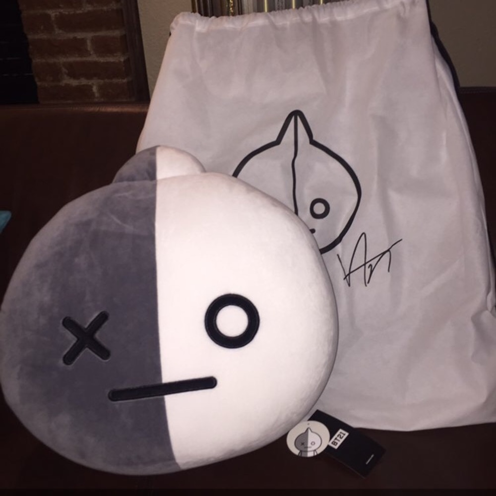 16.5 in. Official BT21 Van Cushion